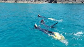 Divers in the water during the snorkeling excursion in Faial with Haliotis Faial.