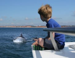 Während einer Katamaran Tour von Vilamoura beobachtet ein kleiner Junge an Bord eines modernen Katamarans von Ocean Quest entspannt springende Delfine.