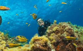Diver who swims behind a reef in the Discover Scuba Diving course in Santa Maria.