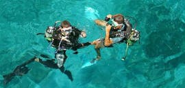 Deux personnes se préparent pour le Baptême de plongée dans la Réserve Cousteau pour Débutant avec Les Heures Saines Guadeloupe.