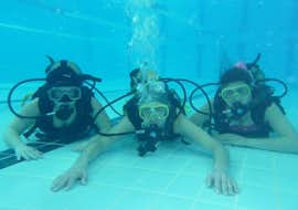 PADI Scuba Diver Course for Beginners in Santa Maria from Haliotis Santa Maria 3 Friends trying their first dive during the PADI Scuba Diver Course for Beginners in Santa Maria in the pool with Haliots Santa Maria.