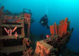 Guided Boat Dives in Réserve Cousteau for Certified Divers with Les Heures Saines A person is exploring during his Guided Boat Dives in Réserve Cousteau for Certified Divers with Les Heures Saines Guadeloupe.