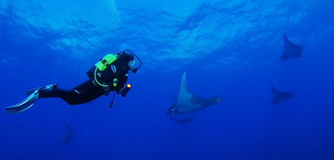 Diver passing by a manta ray during the PADI Advanced Open Water Course.