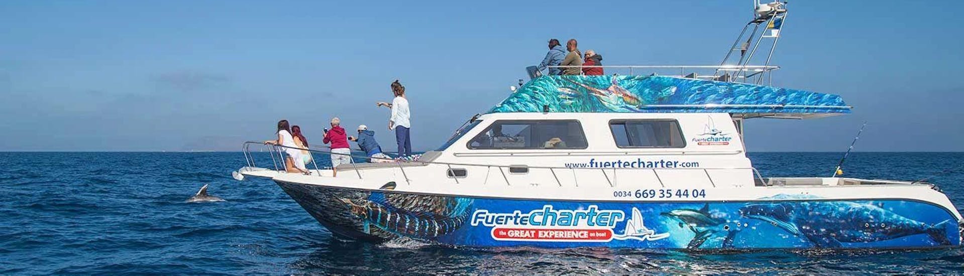 Combo Boat Tour "Cetaceans" - Lobos Island.