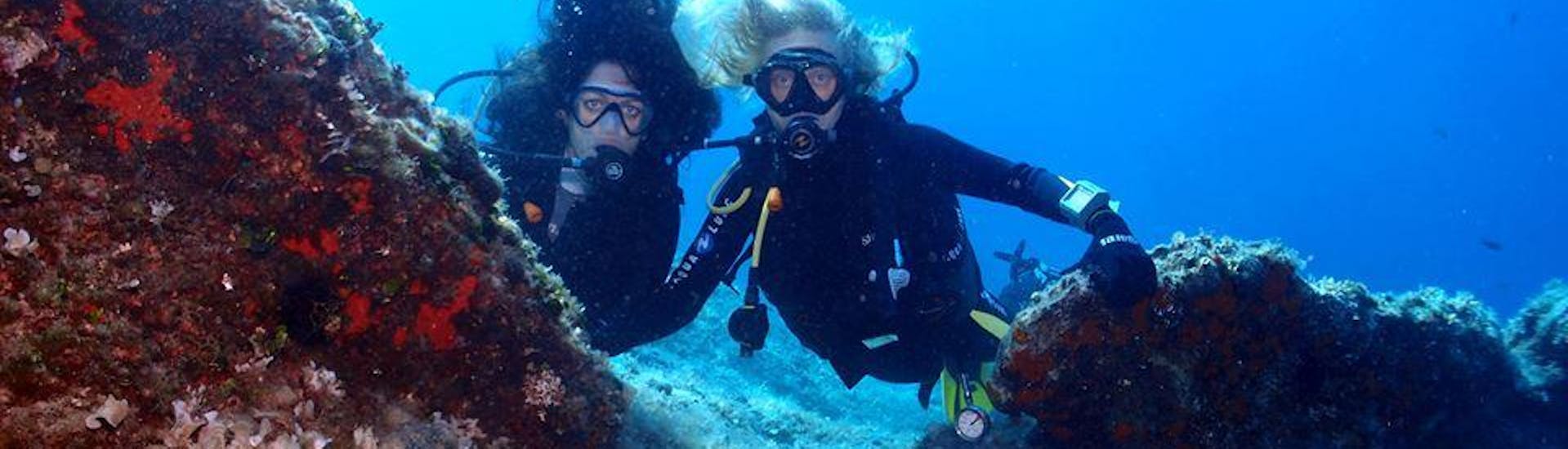 Two divers during heir Trial Scuba Diving in Kaštel Stari.