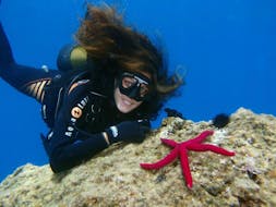 Une personne profitant de l'essai de plongée sous-marine à Kaštel Stari avec Diving Center Venus Kaštel Stari.