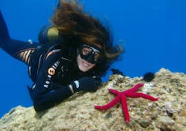 Schnuppertauchen in Kaštel Stari mit Diving Center Venus Kaštel Stari Schnuppertauchen in Kaštel Stari mit Diving Center Venus Kaštel Stari.