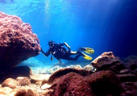 PADI Discover Scuba Diving in Kaštel Stari with Diving Center Venus Kaštel Stari