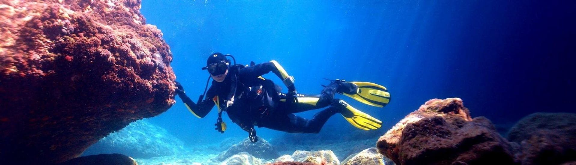 Eine Person, die den PADI Discover Scuba Diving in Kaštel Stari mit dem Diving Center Venus Kaštel Stari genießt.