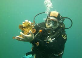 PADI Open Water Tauchkurs für Anfänger in Kaštel Stari mit Diving Center Venus Kaštel Stari PADI Open Water Tauchkurs für Anfänger in Kaštel Stari mit Diving Center Venus Kaštel Stari.