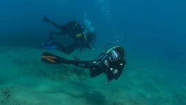 A diver exploring the waters of northern Crete with Guided Boat with Diver's Club Crete.Dives in Northern Crete for Certified Divers