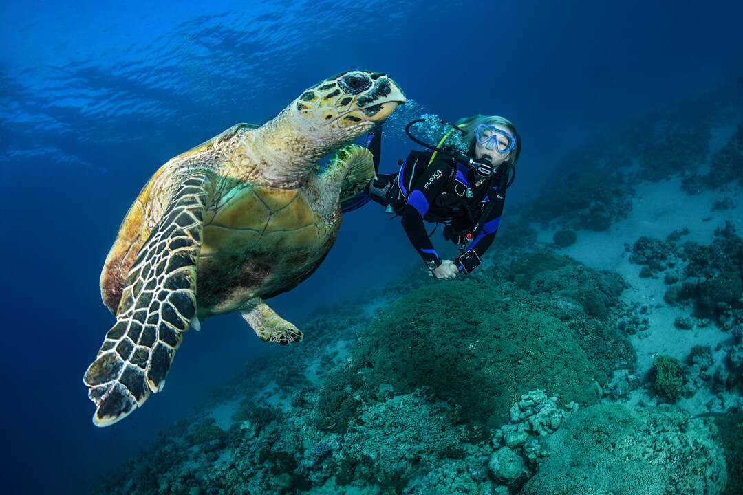 Découverte de la plongée en Crète avec Diver's Club Crete.