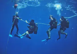 Scuba Diver à Hersonissos pour Débutants avec Diver's Club Crete Scuba Diver à Hersonissos pour Débutants avec Diver's Club Crete.