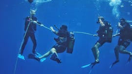 Un groupe de plongeurs débutant à Hersonissos avec Diver's Club Crete.