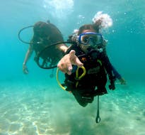 Ein Taucher macht ein Okay-Zeichen unter Wasser während des Discover Scuba Diving in Lindos für Anfänger mit Lepia Dive Centre Rhodos.