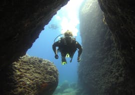 Scuba Diving - Guided Boat &amp; Shore Dives around Rhodes with Lepia Dive Centre Rhodes