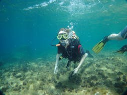 Des plongeurs découvrent la plongée sous-marine à Benidorm.