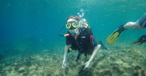 Bautismo de buceo en Benidorm con Nisos Diving Benidorm Los submarinistas descubren el buceo en Benidorm.