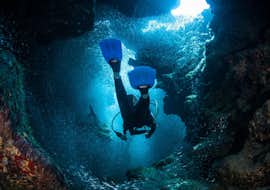 Geführte Bootstauchgänge um Pag für zertifizierte Taucher mit Foka Diving Centar Šimuni Geführte Bootstauchgänge um Pag für zertifizierte Taucher mit Foka Diving Centar Šimuni.