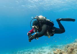 NAUI Passport Diver Course in Šimuni for Beginners from Foka Diving Centar Šimuni NAUI Passport Diver Course in Šimuni for Beginners from Foka Diving Centar Šimuni.