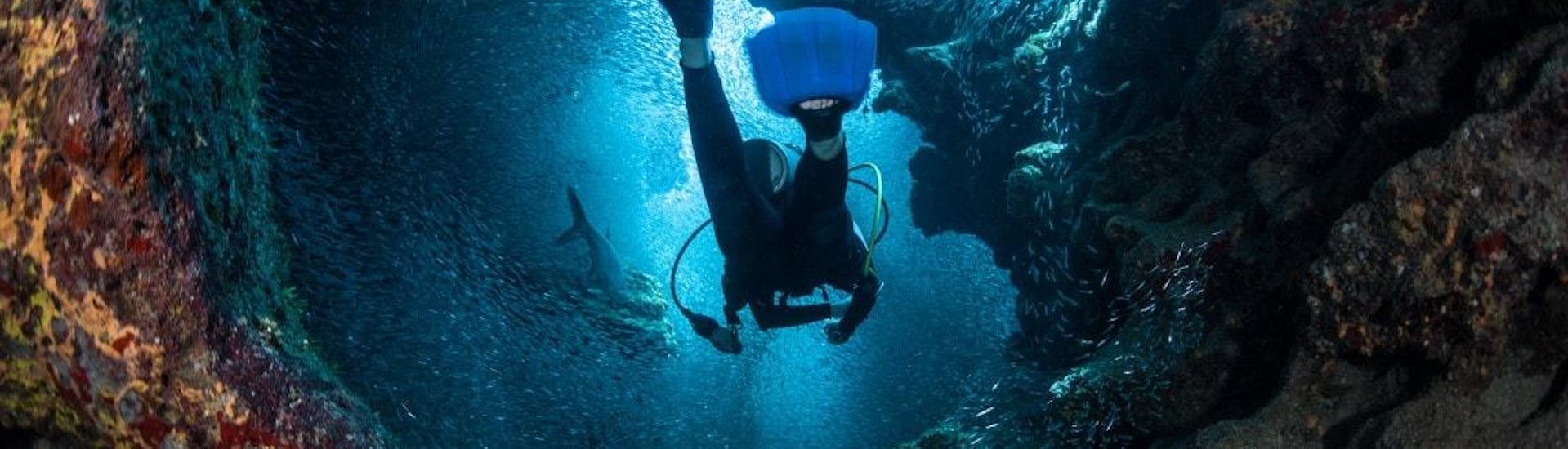 Discover Scuba Diving in Novalja.