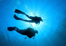 Guided Boat Dives around Pag for Certified Divers with Foka Diving Centar Novalja