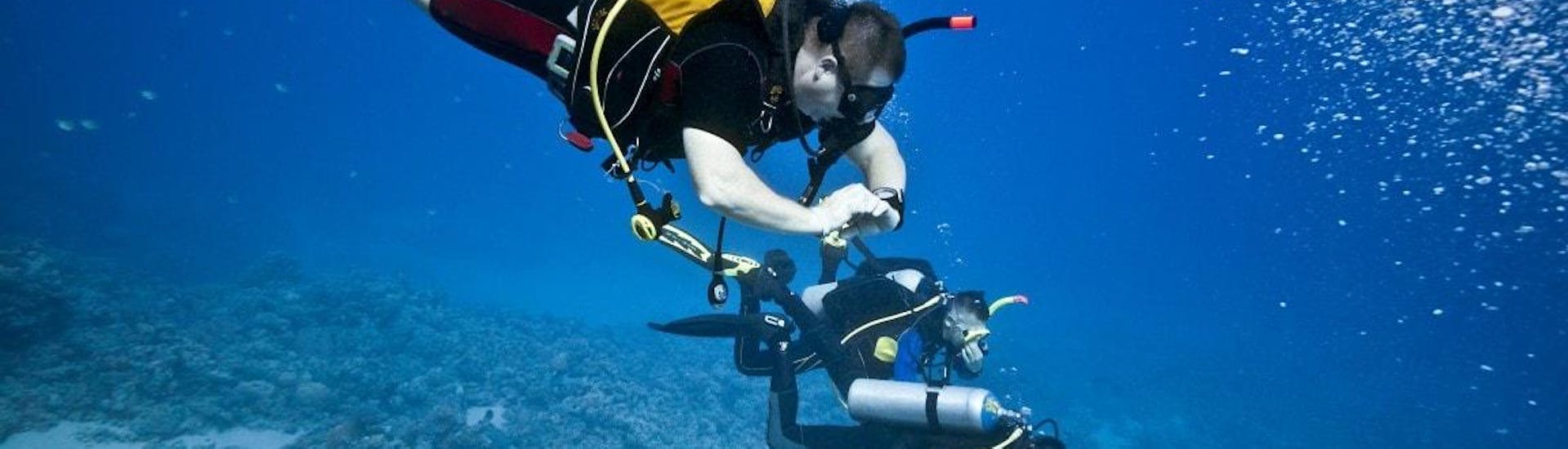 NAUI Passport Diver Course in Novalja for Beginners with Foka Diving Centar Novalja - Hero image