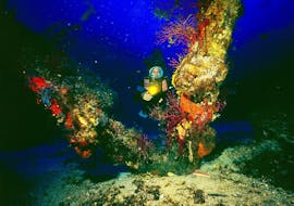 Plongée d'exploration à La Maddalena et en Corse avec Orso Diving Club Poltu Quatu.