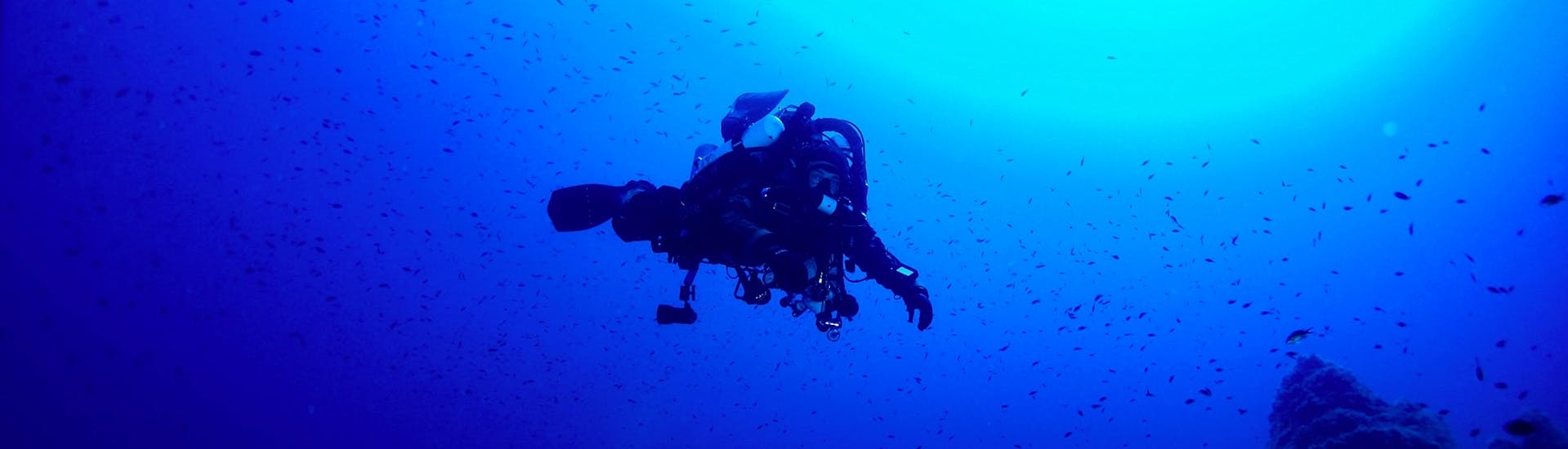 Immersioni subacquee guidate nell'arcipelago de La Maddalena e in Corsica.