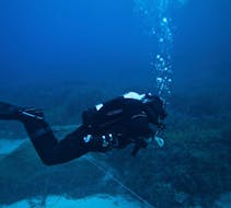Formation plongée Open Water Diver pour Débutants à Poltu Quatu avec Orso Diving Club Poltu Quatu.