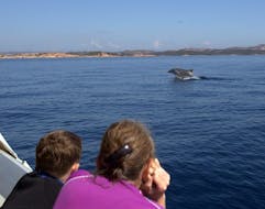 Una mamma e il suo bambino sono affascinati dalla vista dei delfini al largo della Sardegna durante il Dolphin Watching a Capo Figari con Snorkeling Stops Orso Diving Club Poltu Quatu.