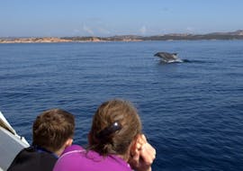 A mom and her kid are fascinated by the sight of dolphins off te coast of Sardinia during the Dolphin Watching at Capo Figari with Snorkeling Stops Orso Diving Club Poltu Quatu.