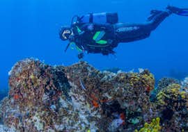 PADI/SSI Open Water Diver Course in Hvar for Beginners Cover A view of the ocean during PADI/SSI Open Water Diver Course in Hvar for Beginners with Aqualis Dive Center Hvar.