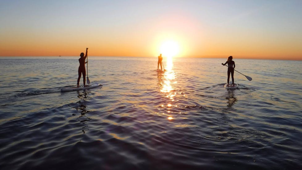 Participants paddle boarding in Barcelona with rental provided Moloka´i SUP Centerby 