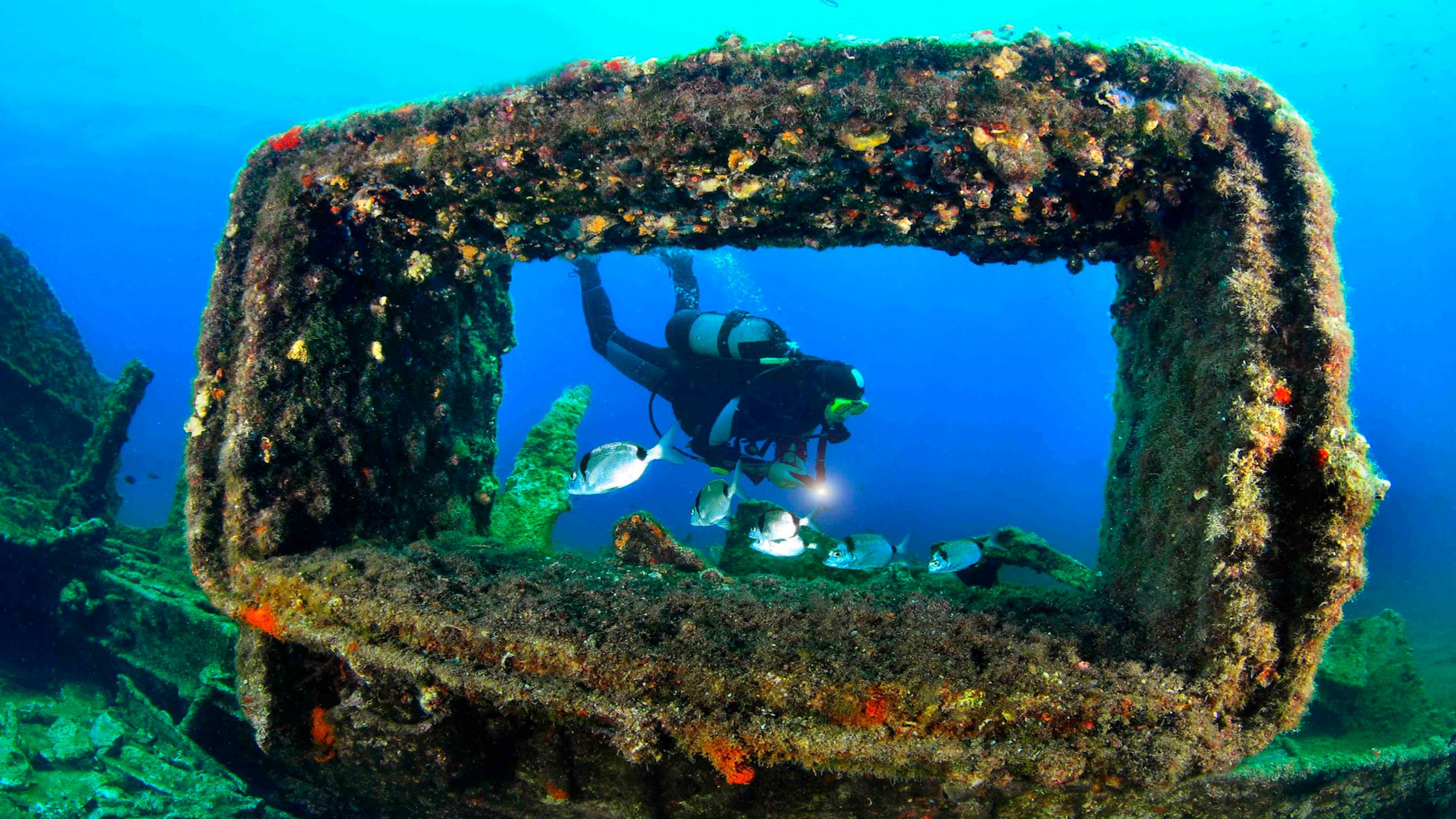 Private Scuba Diving Course - PADI Advanced Open Water Diver.