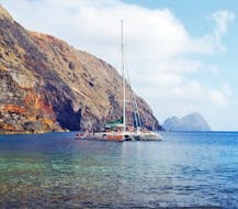 Gita in catamarano da Funchal con bagno in mare e osservazione della fauna selvatica con VMT Madeira.