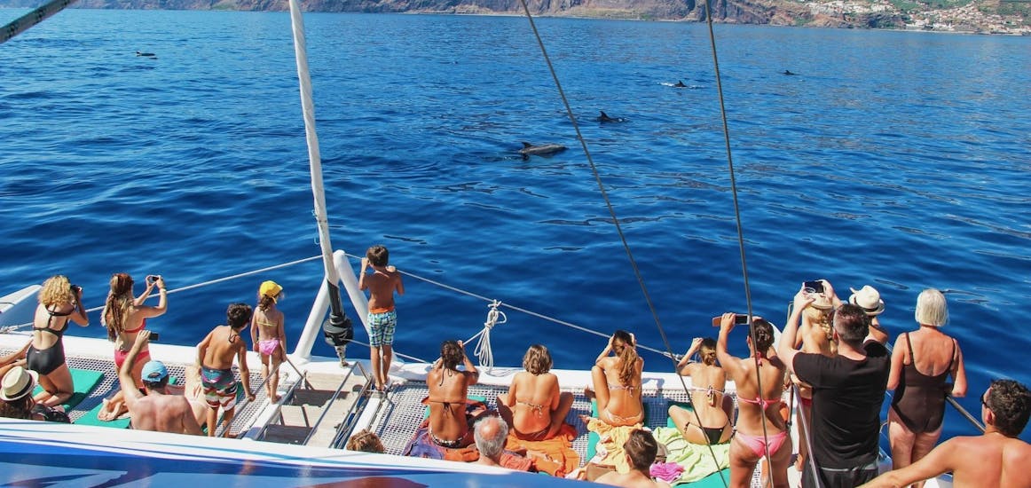 Participants taking pictures of dolphins and  whales during a catamaran tour in Funchal in an activity provided by VMT Madeira.