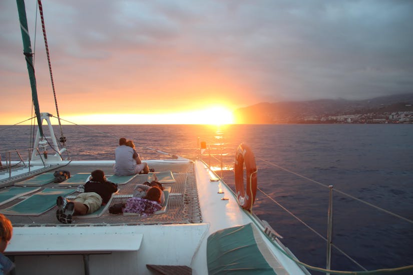 Sunset Catamaran Trip with Dolphin and Whale Watching.