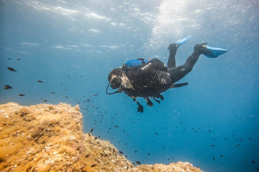 Ein Sporttaucher während der SSI Scuba Diver für Anfänger in Elba mit Aquanautic Elba.