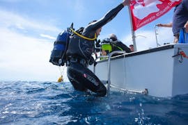 Plongée d'exploration à Capoliveri pour Plongeurs certifiés avec Aquanautic Elba.