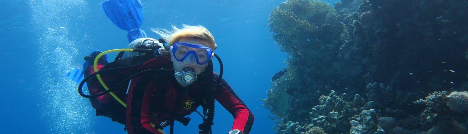 scuba-diving-course-for-beginners-open-water-diver-tarifa-leon-marina-tarifa-hero