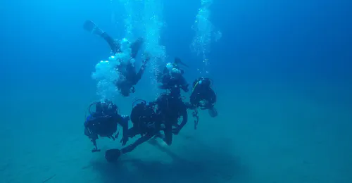 Inmersiones guiadas en Albufeira para buceadores certificados con Easydivers Inmersiones guiadas en Albufeira para buceadores certificados con Easydivers.