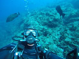 Scuba Diving Course for Beginners - Open Water Diver from Easydivers Dive Centre.