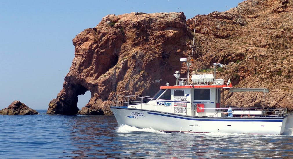 Gita in barca da Peniche a Berlengas con osservazione della fauna selvatica e visita turistica.