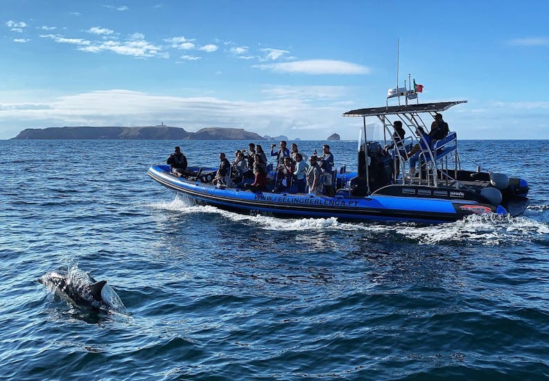 Our clients enjoy a boat Trip to the Berlengas with Discovery Scuba Diving with Feeling Berlenga.