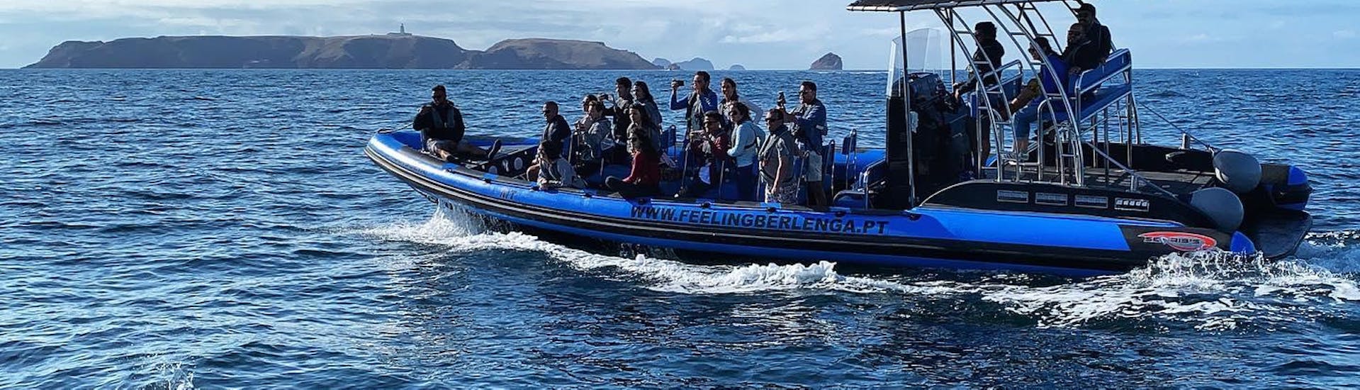 Boat Trip to the Berlengas with Discovery Scuba Diving with Feeling Berlenga - Hero image