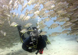 Scuba Diving - Dives in Tenerife with Ten Dive Diving Center Tenerife