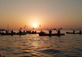 Kajaktour zur Insel Lokrum bei Sonnenuntergang mit Adventure Dalmatia Dubrovnik Eine Gruppe von Kajak unter dem Sonnenuntergang während der Sunset Sea Kayaking rund um Lokrum Island mit Swim Break mit Adventure Dalmatia Dubrovnik.