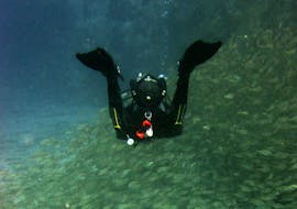 Discover Scuba Diving for Beginners in Tenerife with Ten Dive Diving Center Tenerife