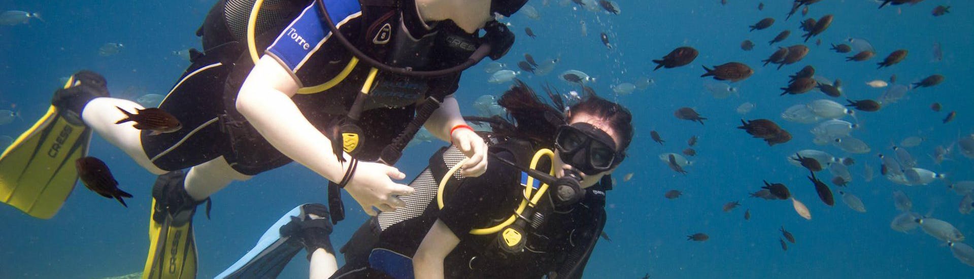 Discover Scuba Diving for Beginners - Green Bay.
